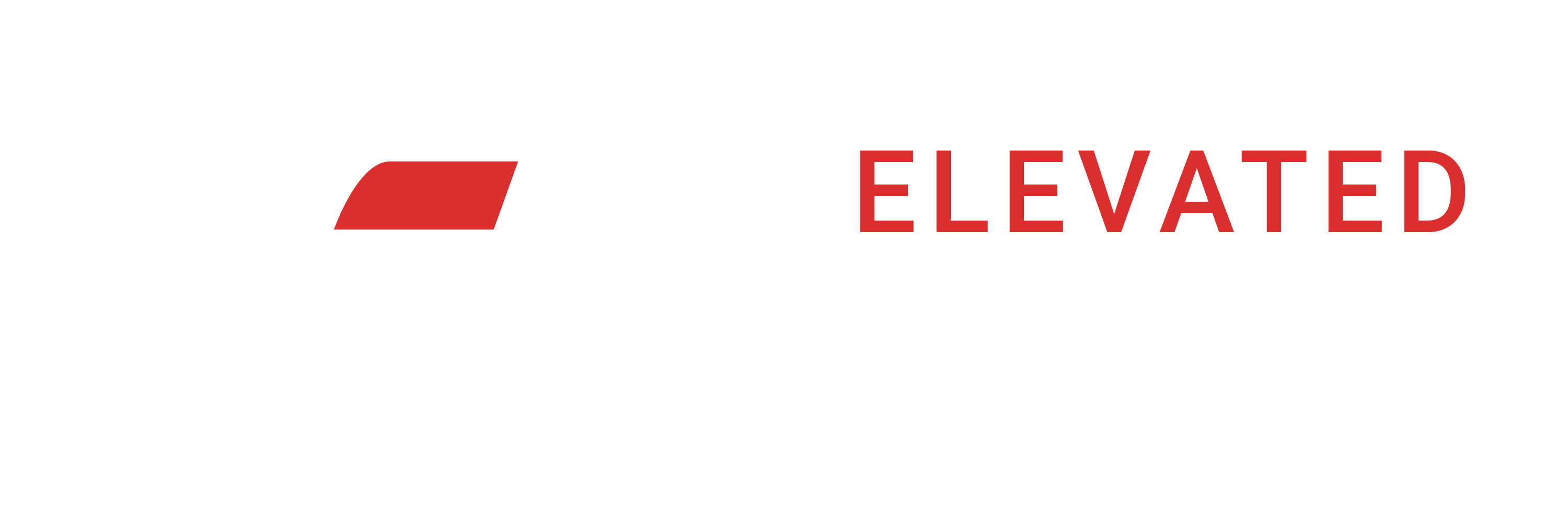 VES logo - dan-01
